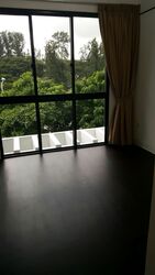 Village @ Pasir Panjang (D5), Condominium #450262131